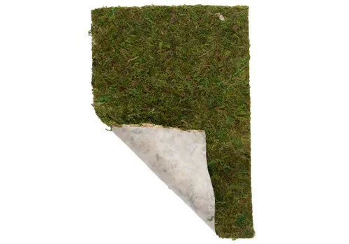 Hobby Terrano mosdecoratie veenmos op vlies