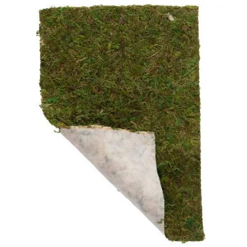 Hobby Terrano mosdecoratie veenmos op vlies