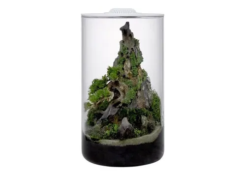 Wabi Kusa Bio Cylinder 200 White plantterrarium met led | 20,2 x 34,3CM