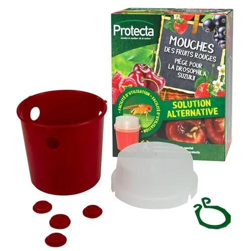 Protecta Aziatische fruitvliegenval + lokstof