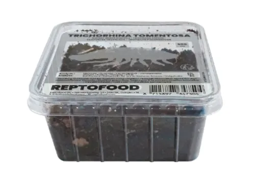 Repto Food Levende tropische pissebedden 500 ml