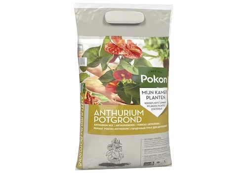 Pokon Anthurium potgrond