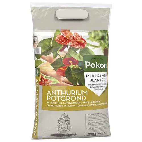 Pokon Anthurium potgrond