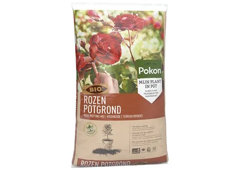 Pokon Buxus potgrond