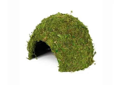 Hobby Terrarium Jungle Cave mosgrot