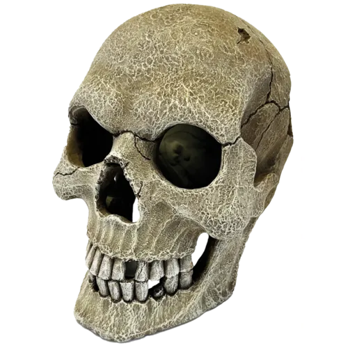 Repto Human Skull XL schedel voor terrarium