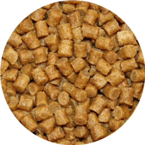 Vivani Baits Premium Coarse