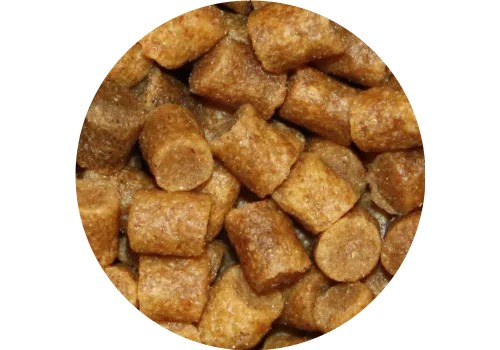 Vivani Baits Premium Coarse