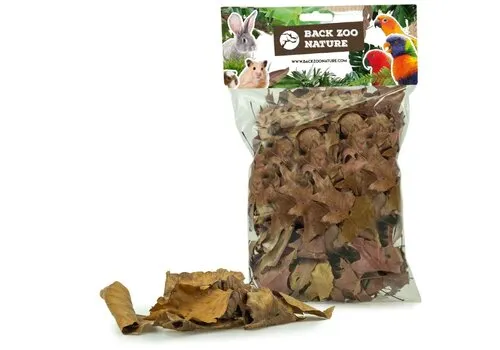 Back Zoo Nature Discovery Leaves 35-50 gram