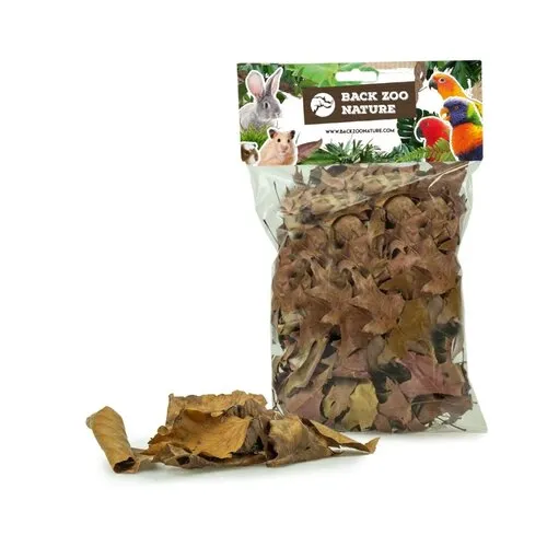 Back Zoo Nature Discovery Leaves 35-50 gram