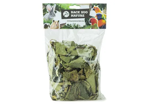 Back Zoo Nature Discovery Leaves Orchard bladerenmix 65 gram