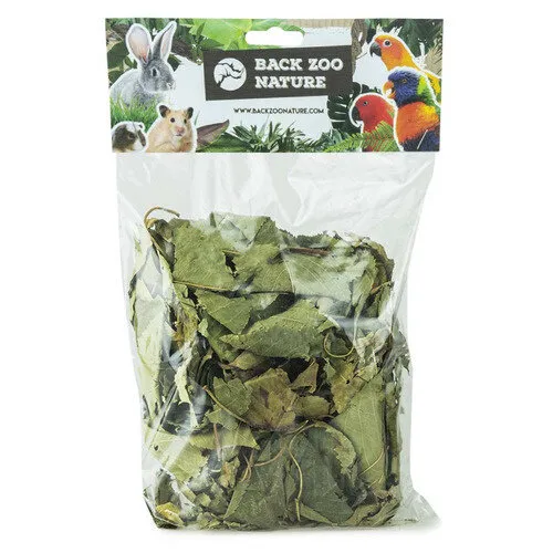 Back Zoo Nature Discovery Leaves Orchard bladerenmix 65 gram