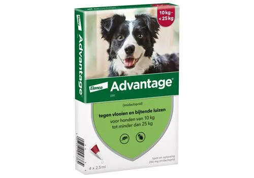 Bayer Advantage Vlooienmiddel Hond 10 tot 25 kg