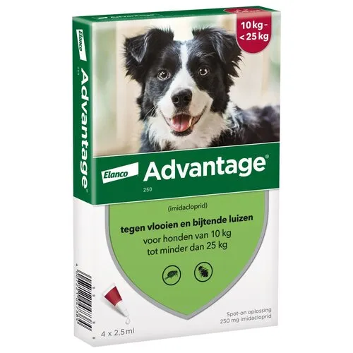 Bayer Advantage Vlooienmiddel Hond 10 tot 25 kg