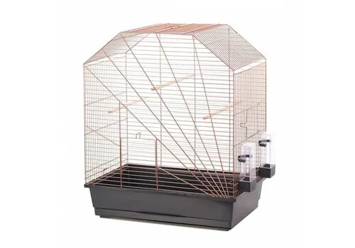 2ekans Duvo+ Vogelkooi Lexa