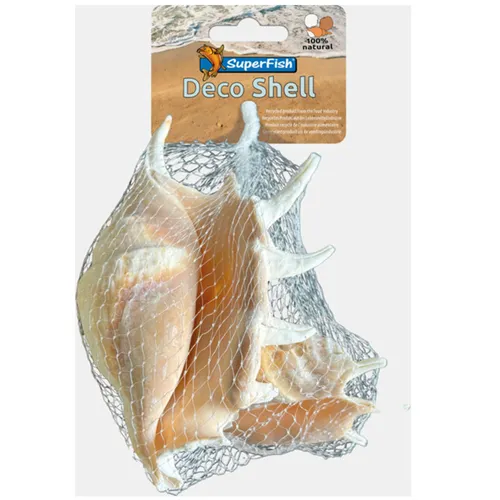 SuperFish Deco Schelp Spider 200 Gram SuperFish Deco Schelp Spider 200 Gram