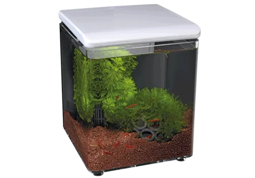 SuperFish Home 8 Aquarium | 8L | 20,5 x 20,5 x 25,7 CM Wit