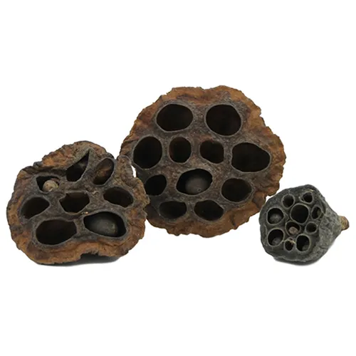 CeramicNature Lotus Pod XL natuurlijke decoratie