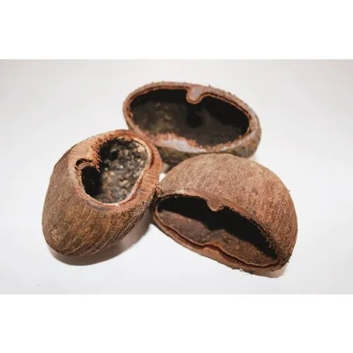 CeramicNature Palm Pods harde noot decoratie