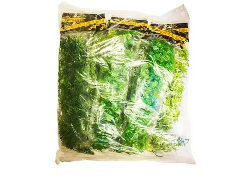 Zoo Med Natural Bush Pre-Pack terrariumkunstplanten