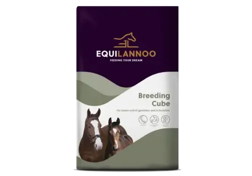Equilannoo Breeding Cube paardenvoer