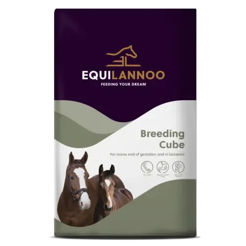 Equilannoo Breeding Cube paardenvoer