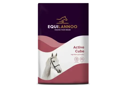 Equilannoo Active Cube paardenbrok 20 kg
