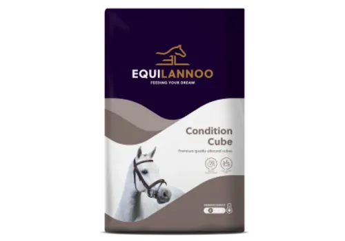 Equilannoo Condition Cube paardenbrok 20 kg