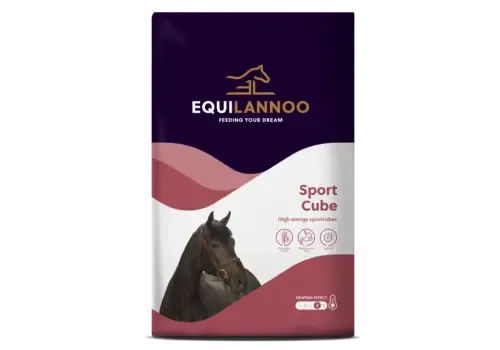 Equilannoo Sportbrok voor paarden