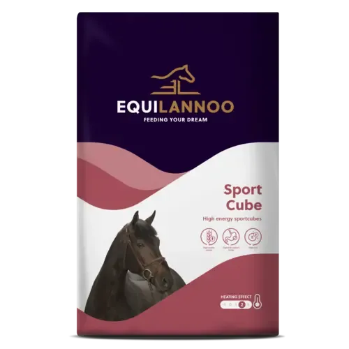 Equilannoo Sportbrok voor paarden
