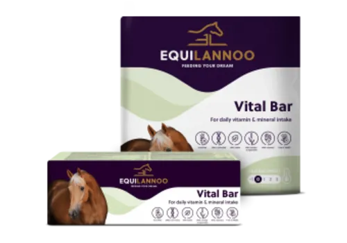 Equilannoo Vitaliteitsbar XXL voor paarden
