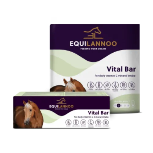 Equilannoo Vitaliteitsbar XXL voor paarden