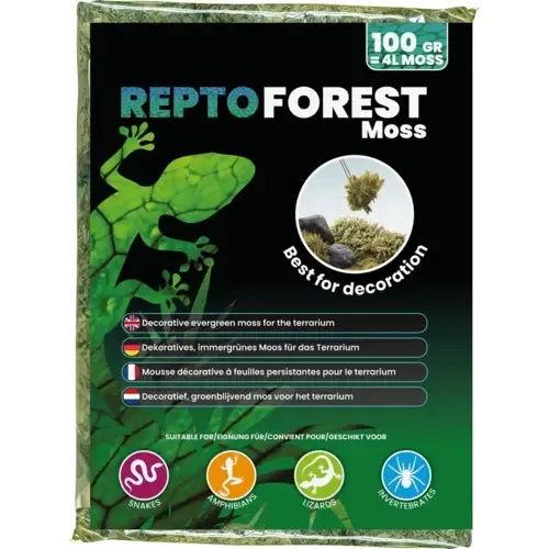Repto Forest Moss terrariummos 100 gram