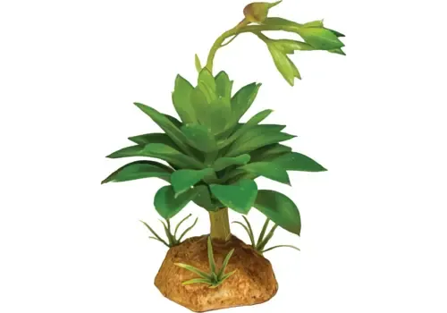 Repto Kunstplant Succulent Green terrariumdecoratie