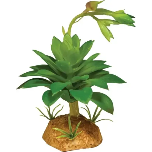 Repto Kunstplant Succulent Green terrariumdecoratie