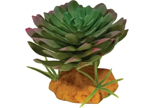 Repto Plant Echeveria kunstplant voor terrarium