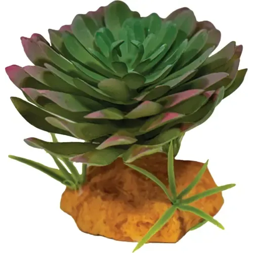 Repto Plant Echeveria kunstplant voor terrarium