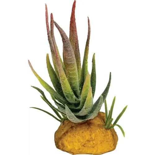 Repto Plant Aloe Red Tip terrariumkunstplant