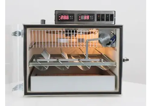 MS  Broedmachine voor Grote Eieren