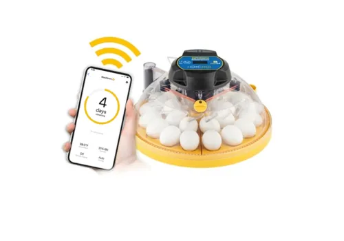 Brinsea Broedmachine Maxi 24 | app-bediening | automatische vochtregeling