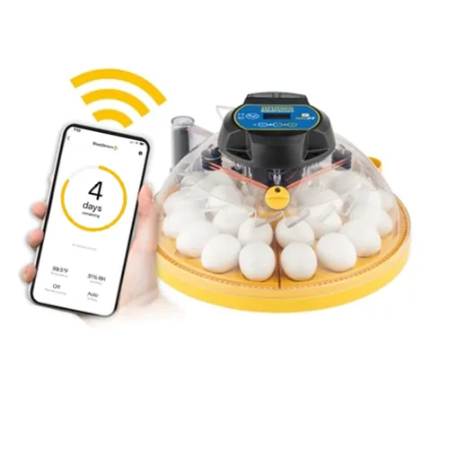 Brinsea Broedmachine Maxi 24 | app-bediening | automatische vochtregeling