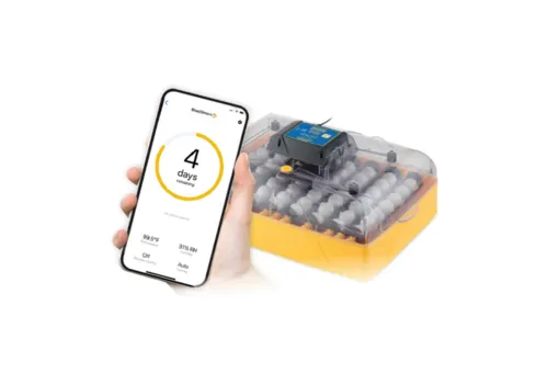 Brinsea Ovation 56 eieren ADVANCE EX CONNECT
