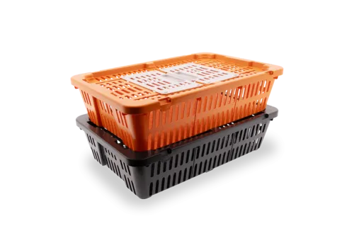 Brinsea Transportkist voor kwartels/duiven