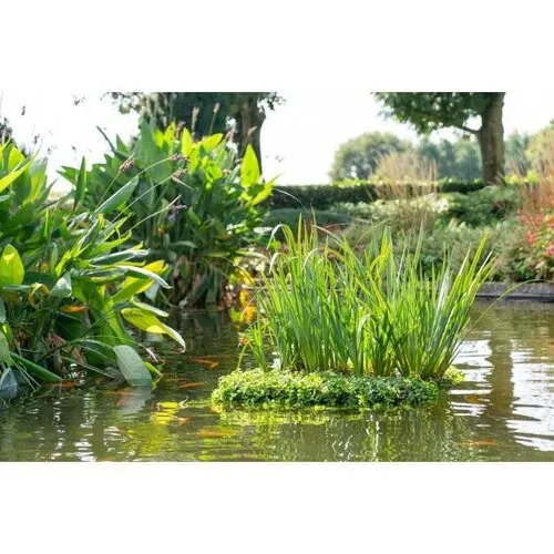 Moerings Natuurlijk Drijvend eiland voor waterplanten 1 x 1 meter