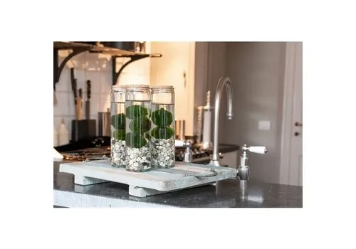 Moerings Chladophlora Aegagropphila 2 Stuks In Glas