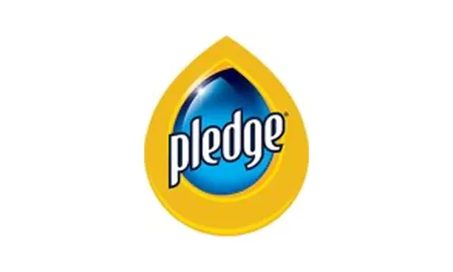 Pledge