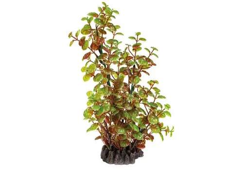 SuperFish Art Plant 25CM Rotala