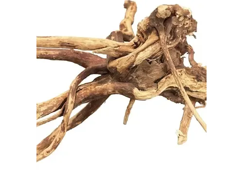 BIOART Spider Wood 10-15CM