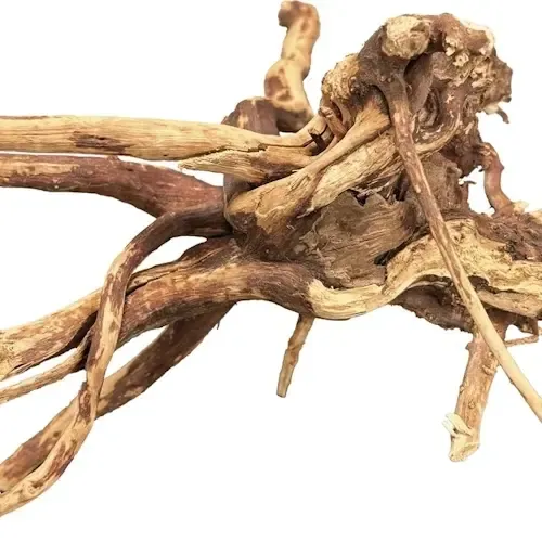 BIOART Spider Wood 10-15CM