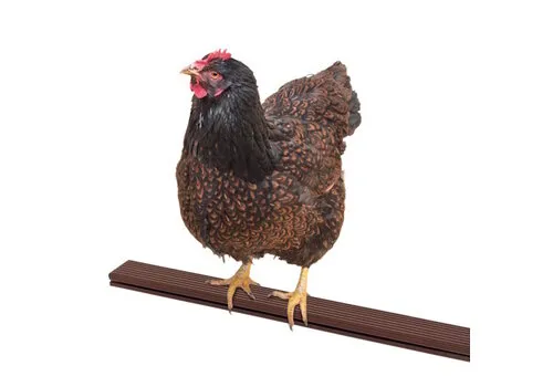 Junai.nl Kippenzitstok bruin 100 cm – set van 2